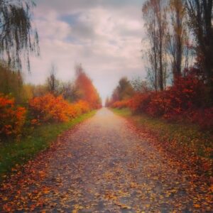 Autumn Path