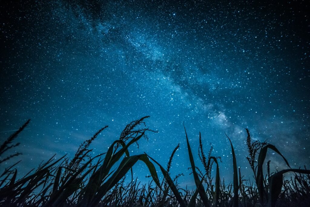 Stars in the sky
