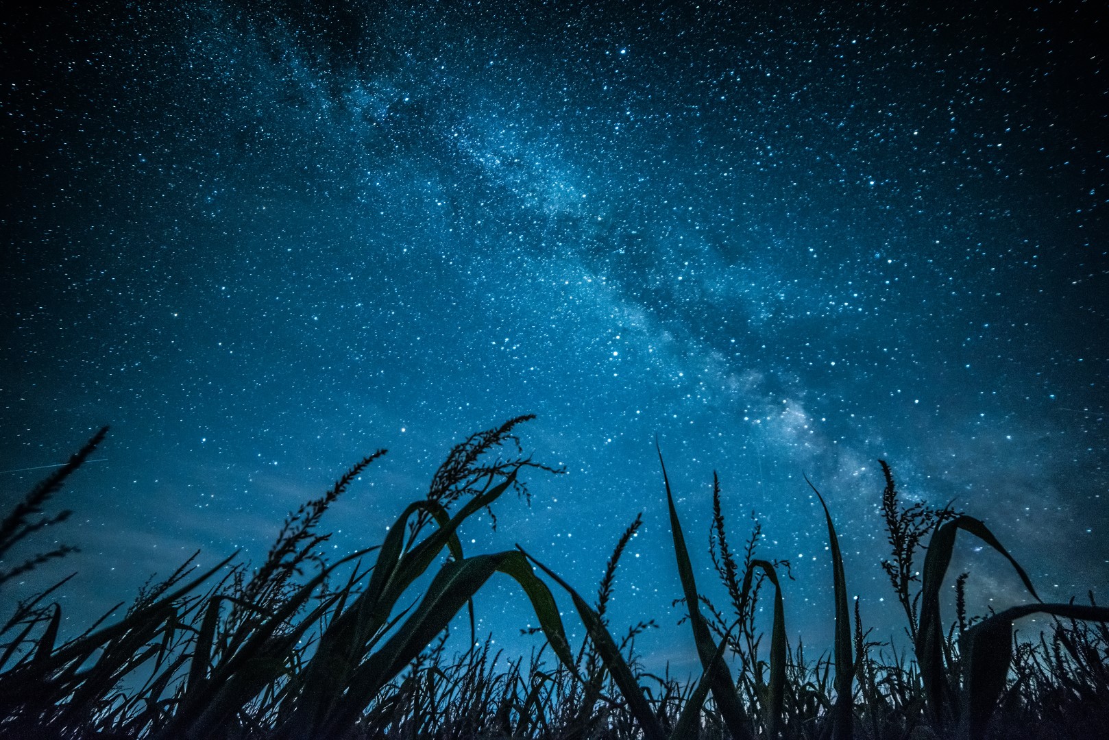 Stars in the sky